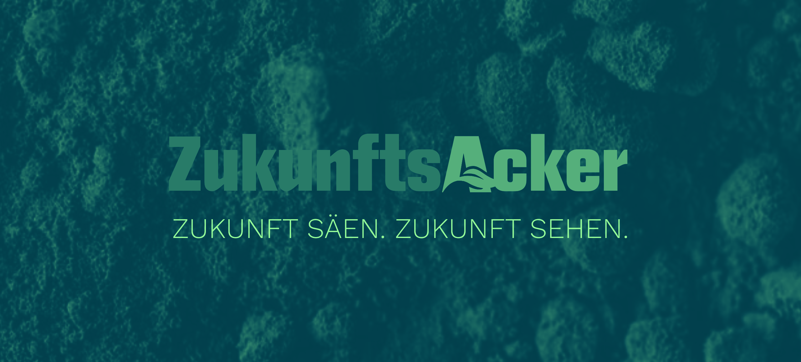 Template_Referenzen_Hintergrundbild_farthofer Template_Referenzen_Hintergrundbild_rmkuusk_zukunftsacker_klima landwirtschaft modellregion
