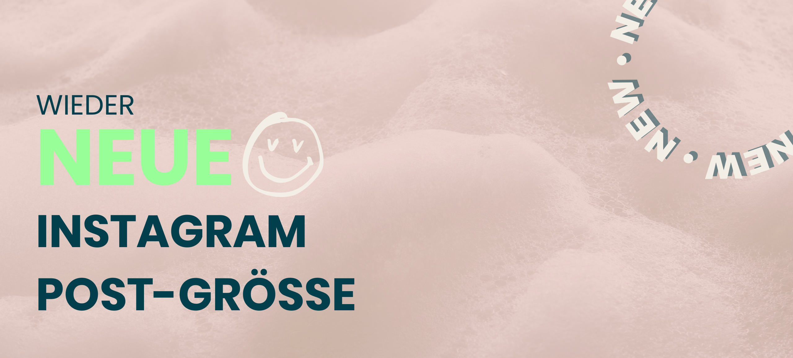 triverti-connects_Blog Titelbild